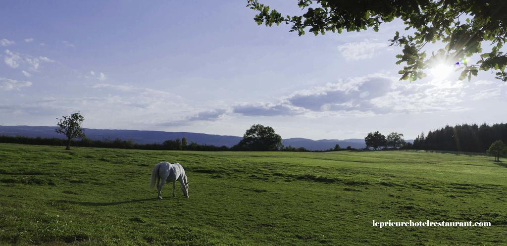 ホテル Domaine Le Prieure Chaumont-le-Bourg エクステリア 写真